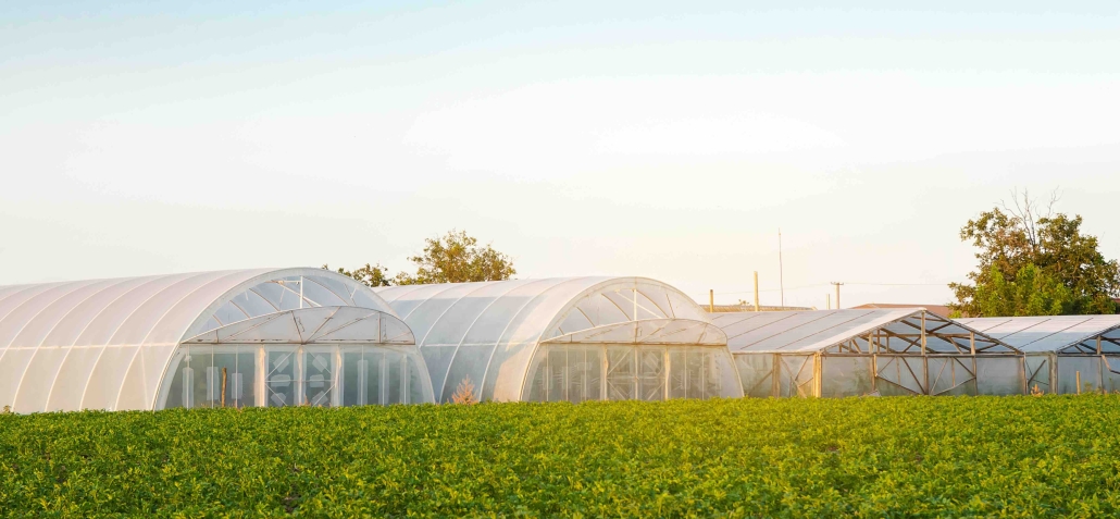 greenhouses in a field